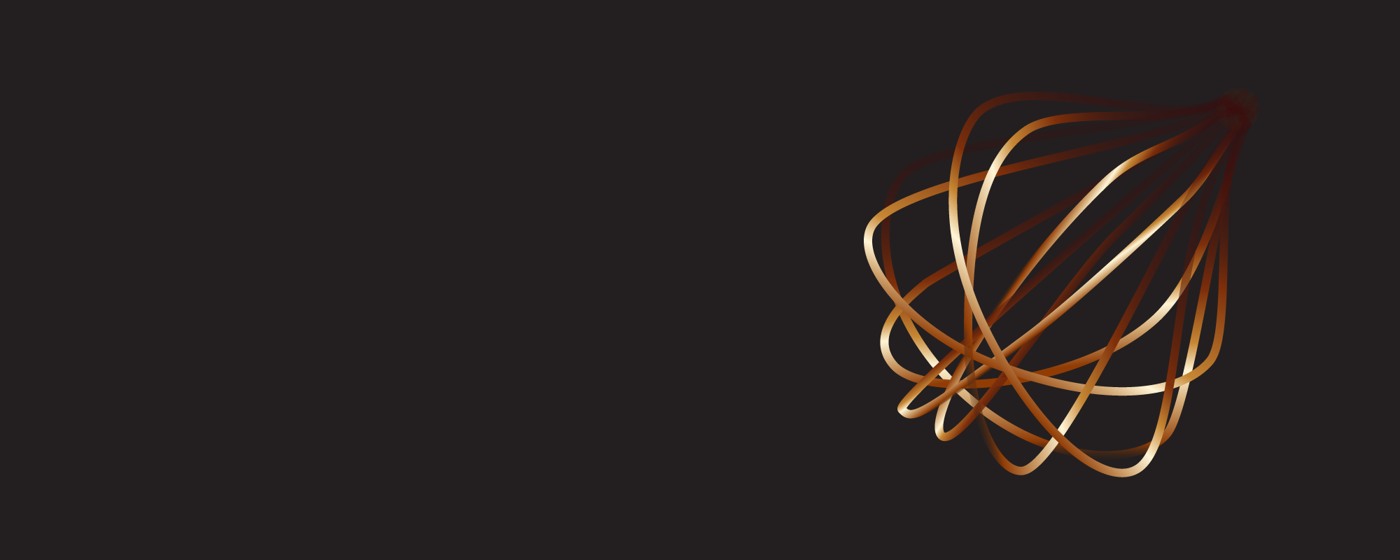 Whisk logo on the right